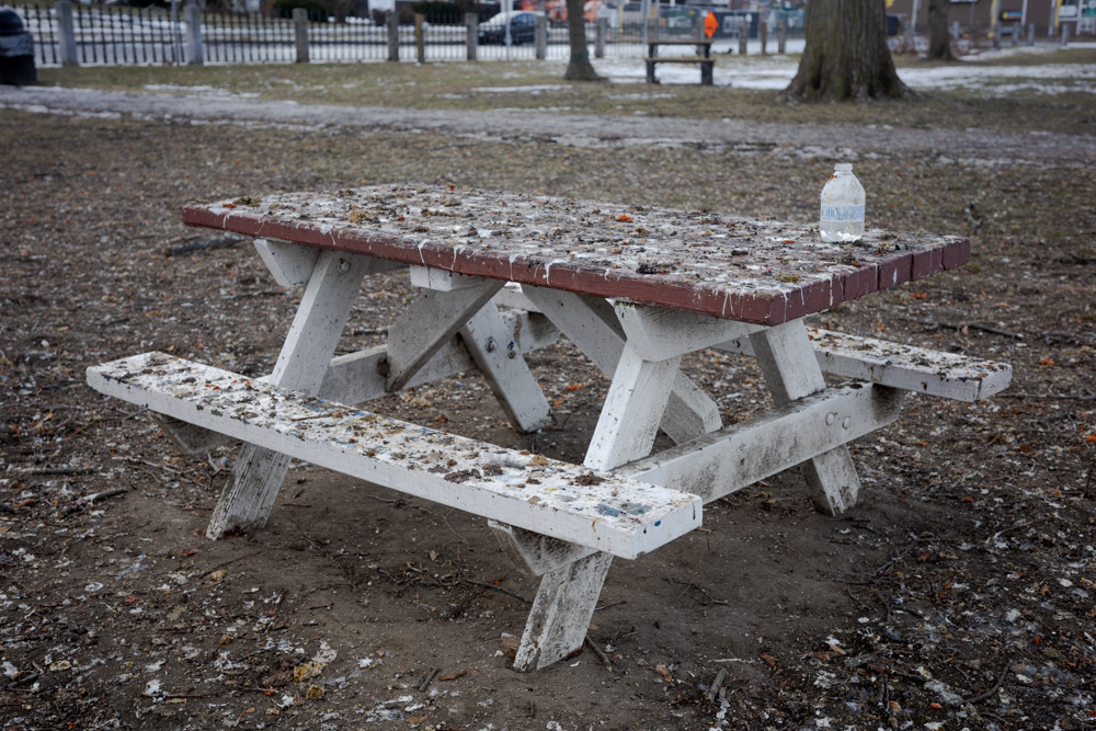 Picnic Table