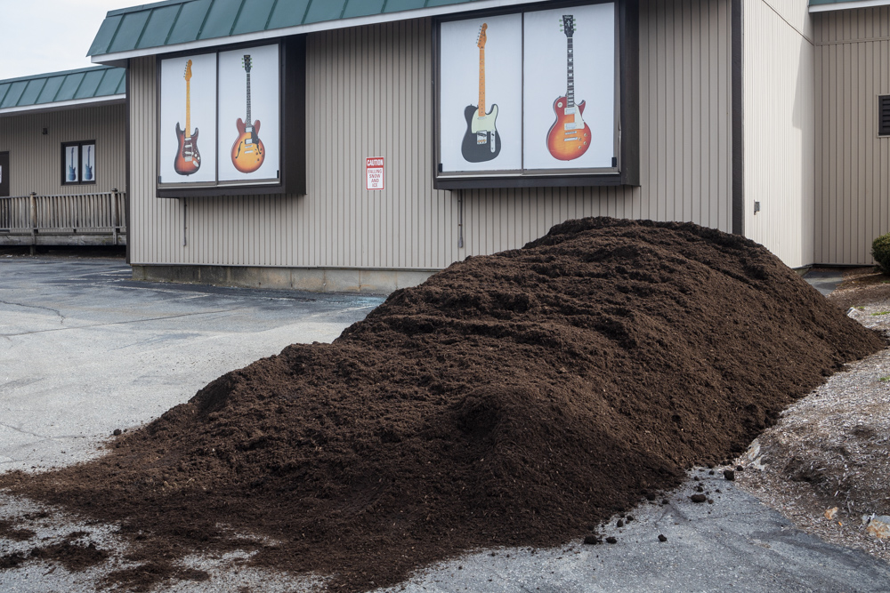 Soil and Guitars