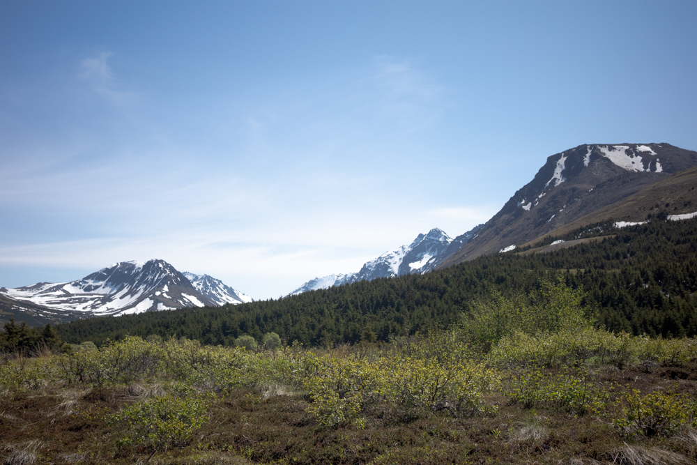 Anchorage