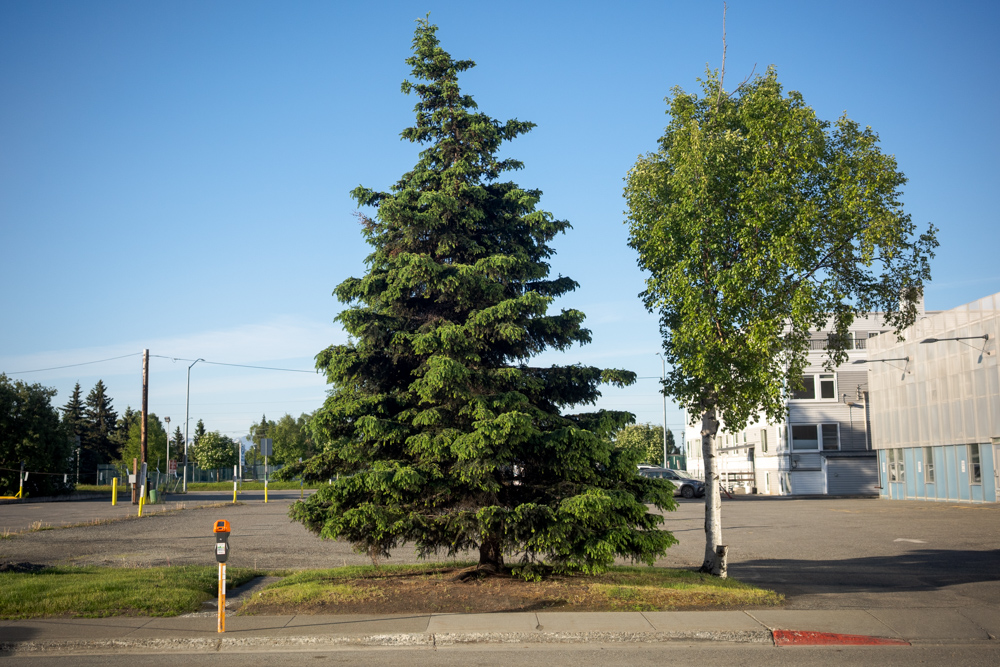 Anchorage
