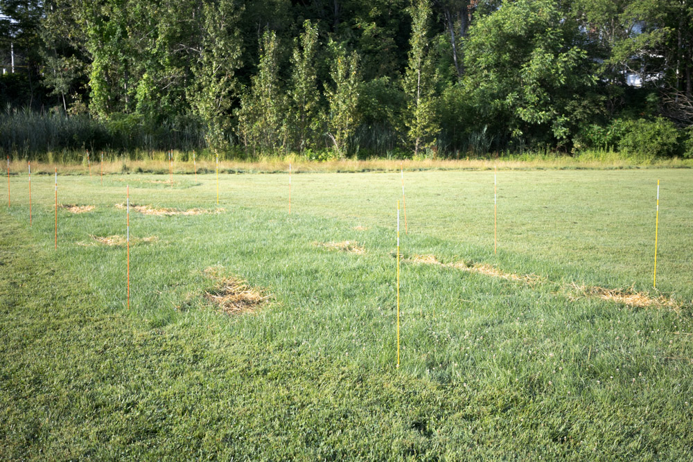 Markers in a Field
