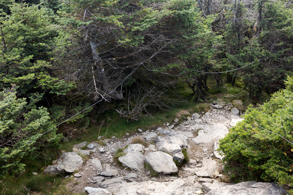 Trail Off of Mansfield